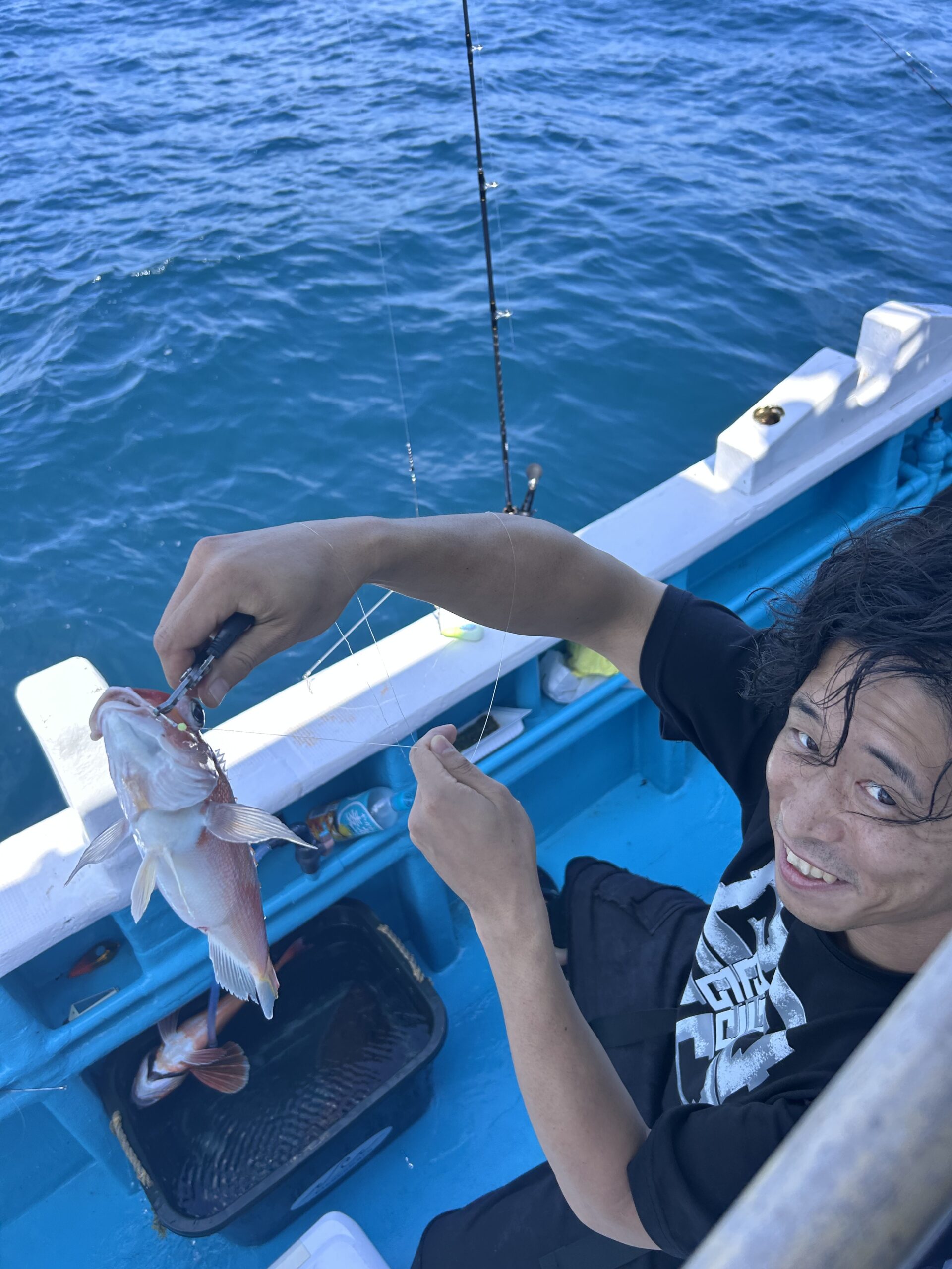 7・2０　本日、アマダイ