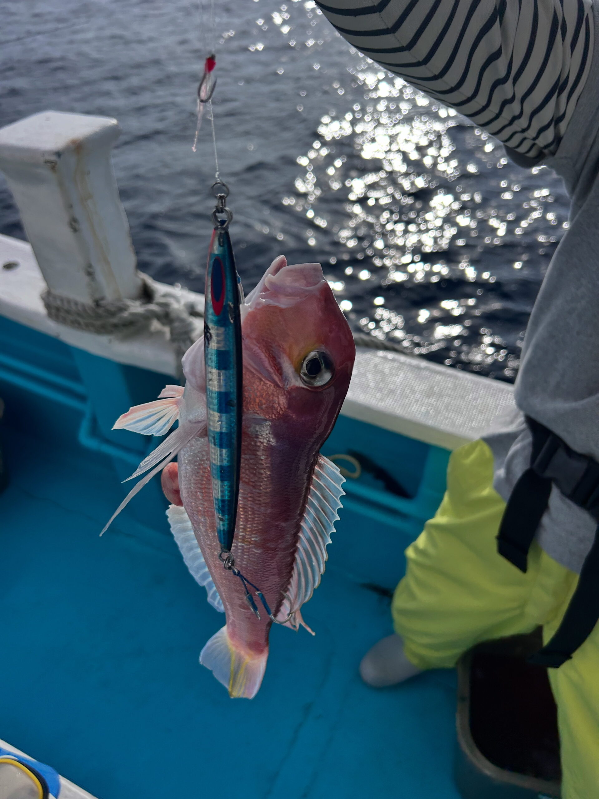 ９・２５　本日、スロージギング