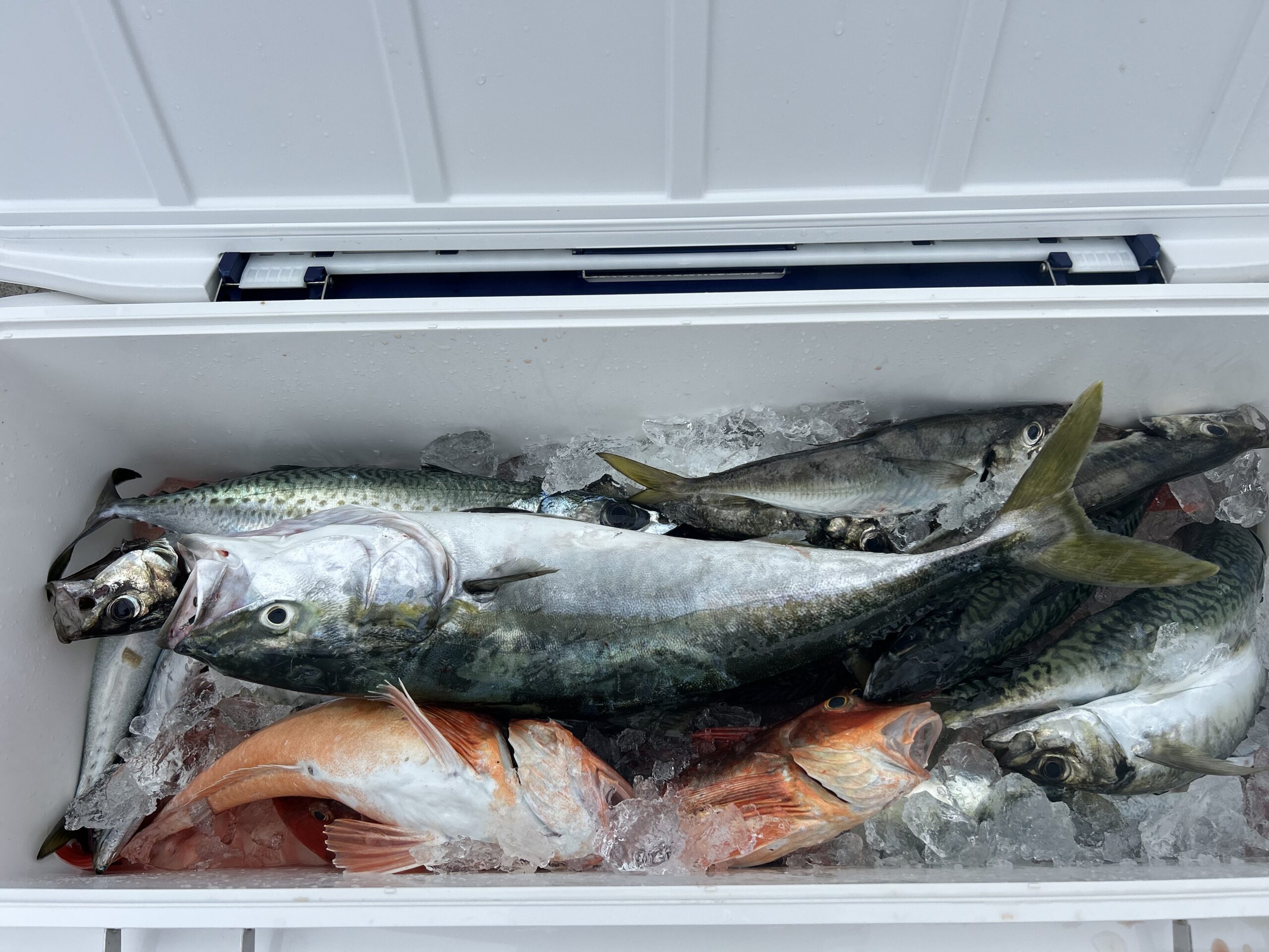 ９・１３　本日も出船