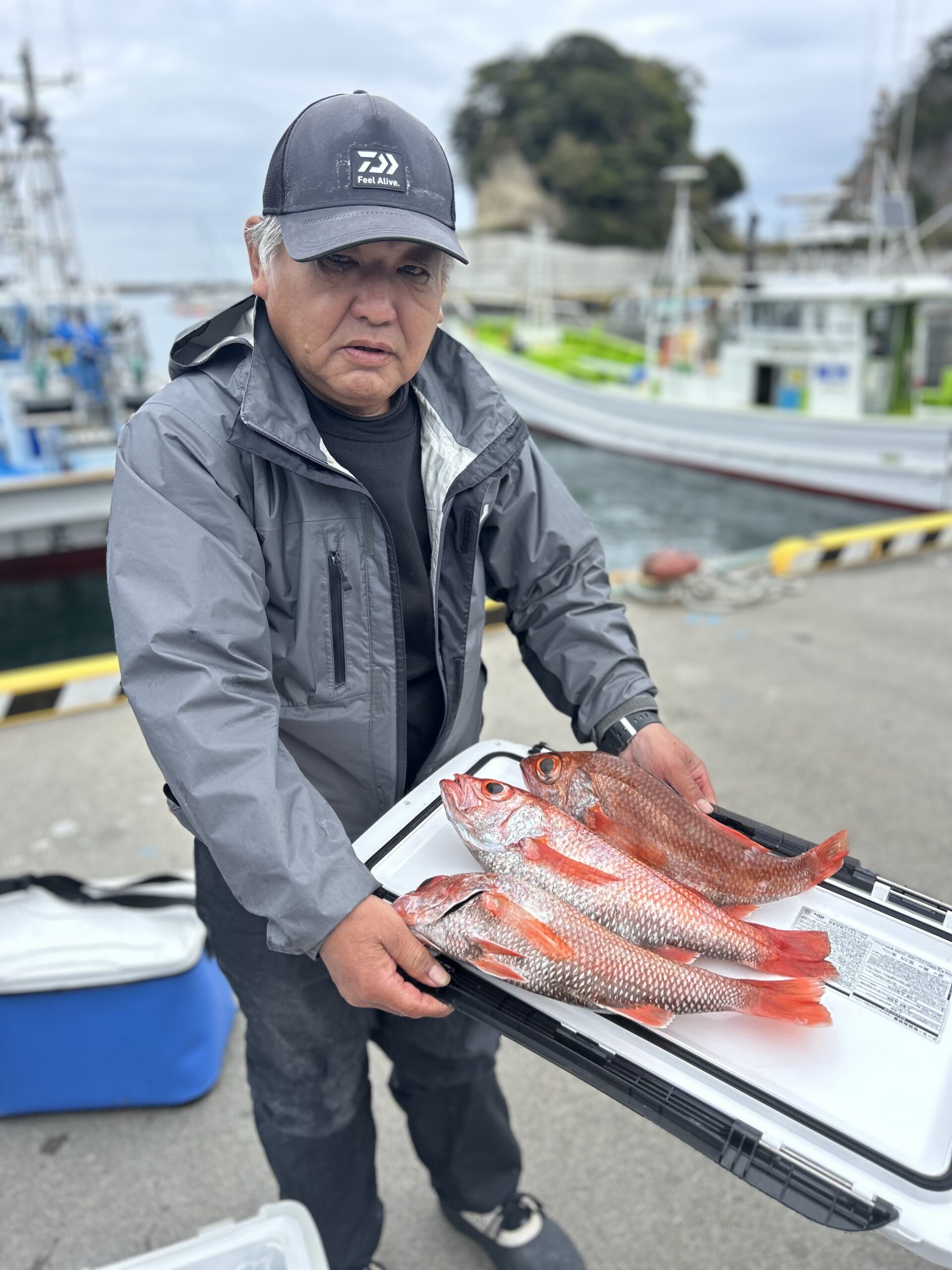 １１・１３　本日もアカムツ