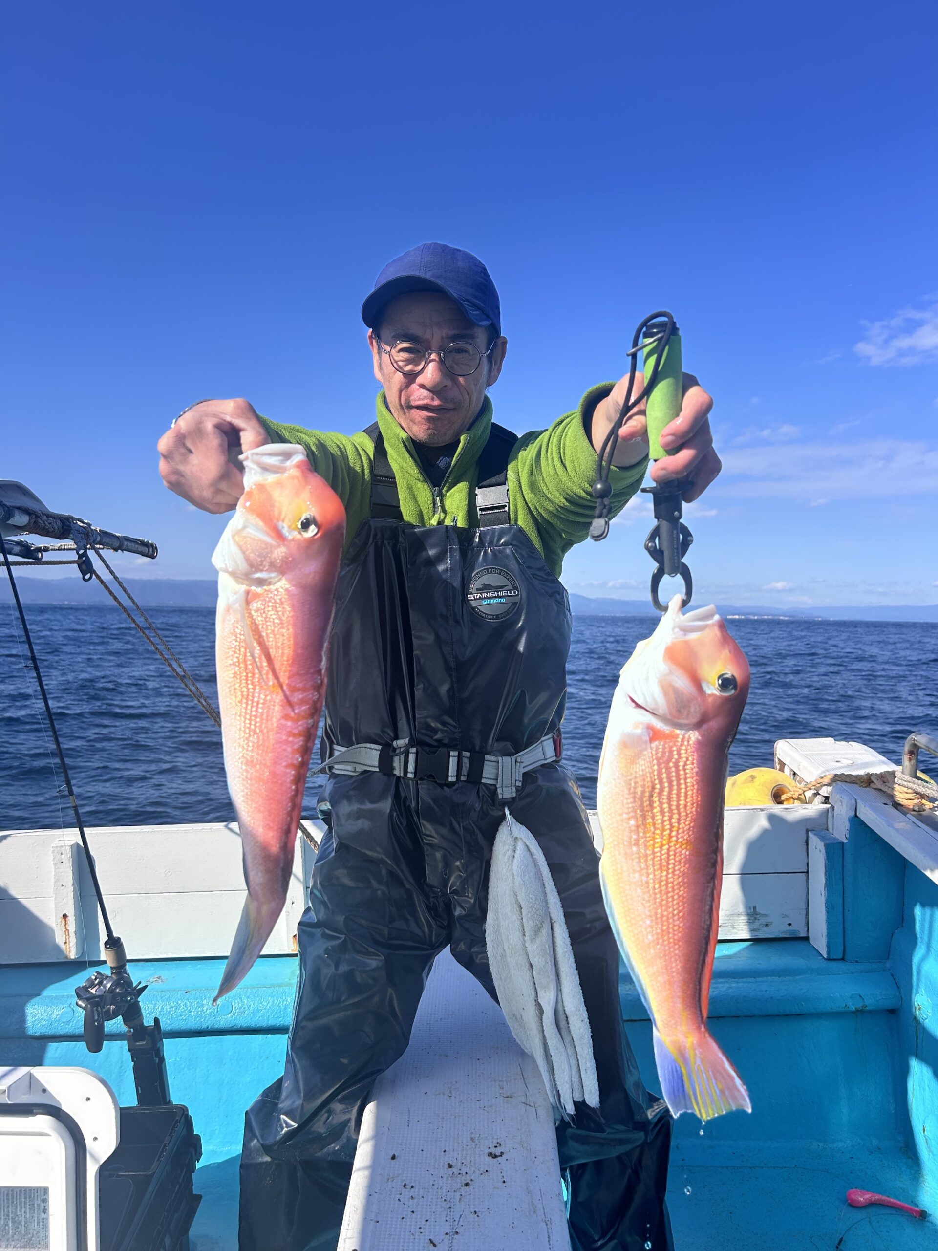 １１・１５　本日、アマダイ