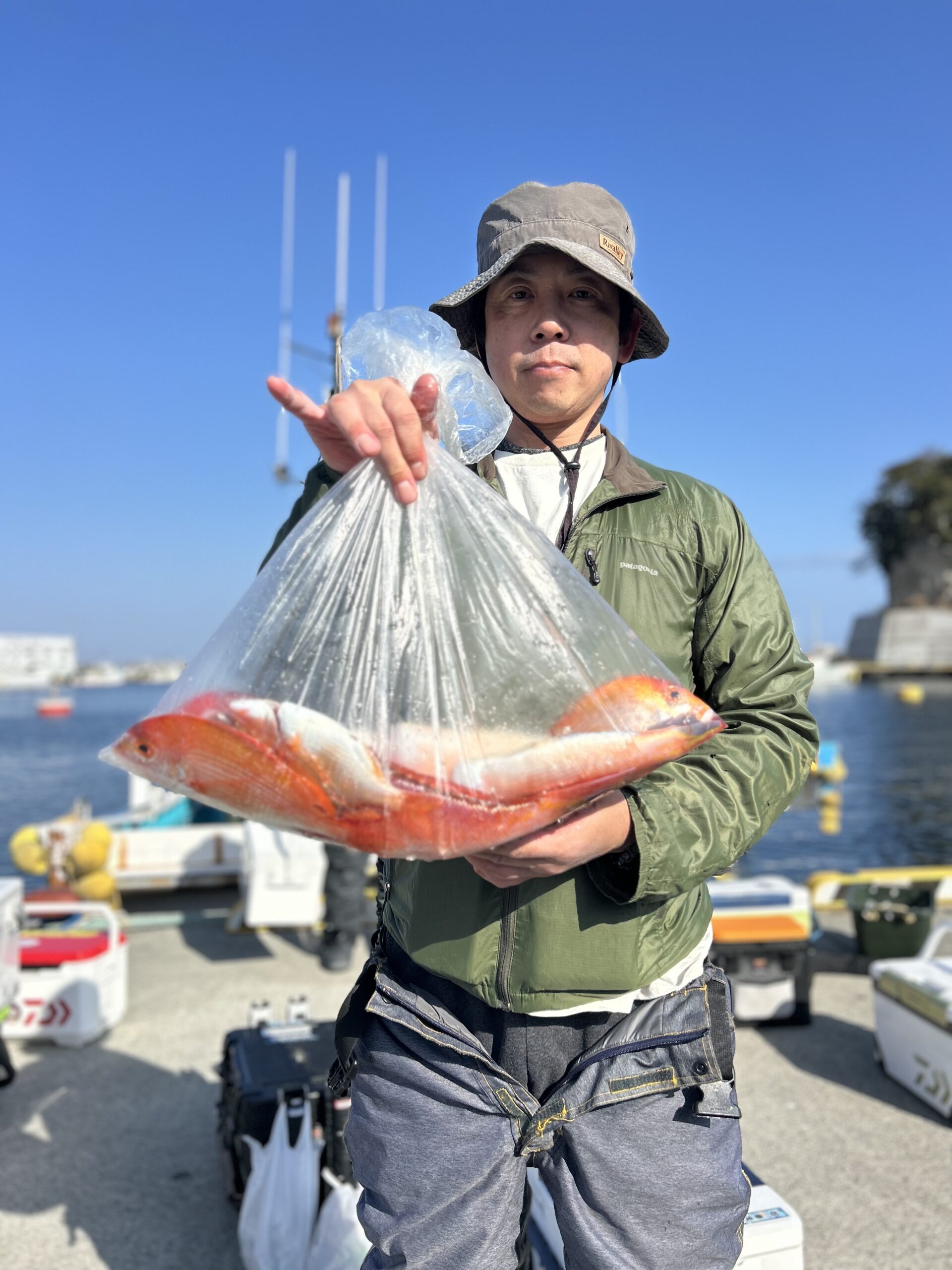 １・１７　本日、アマダイ