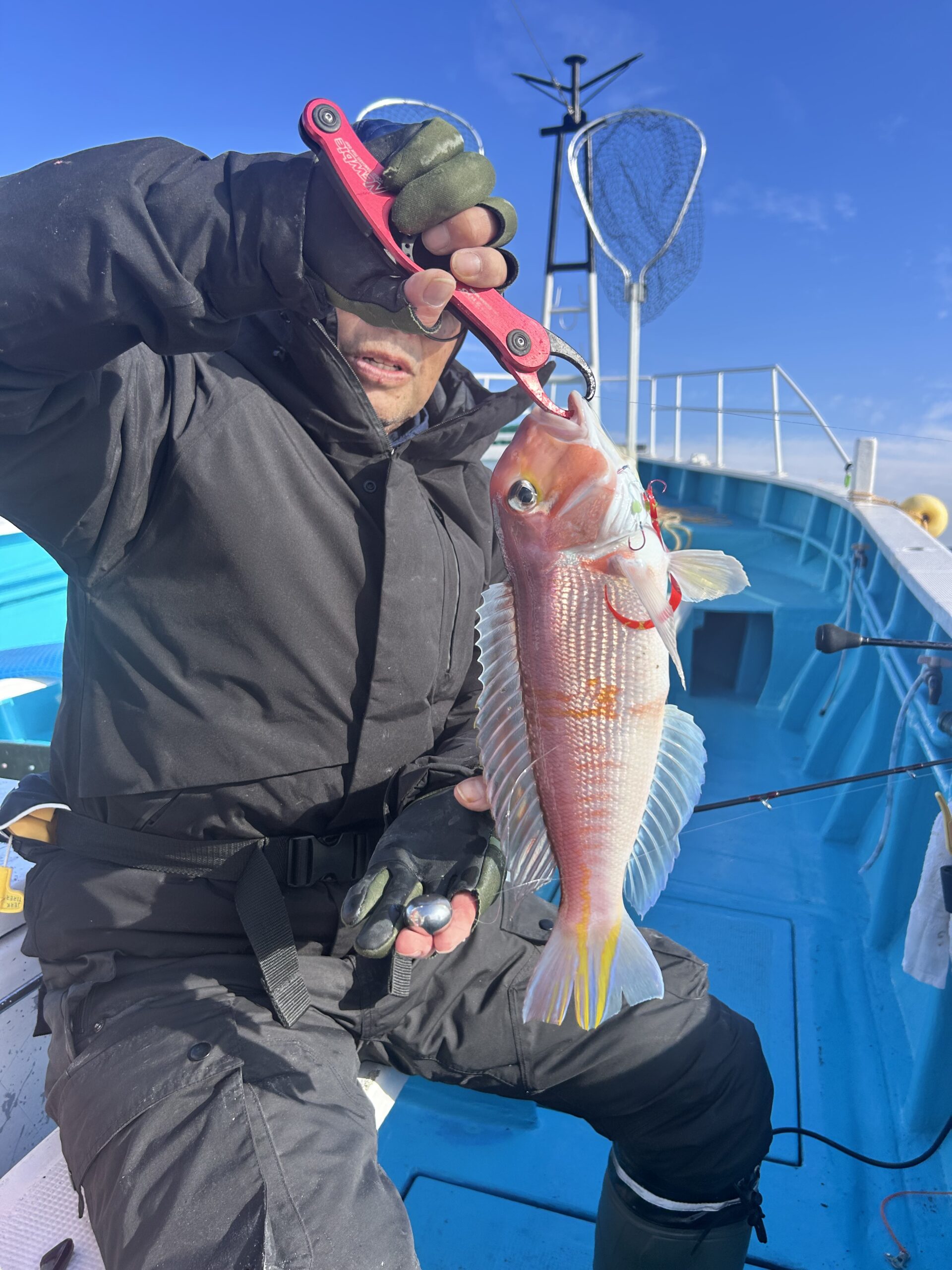 ２・１３　本日もアマダイ