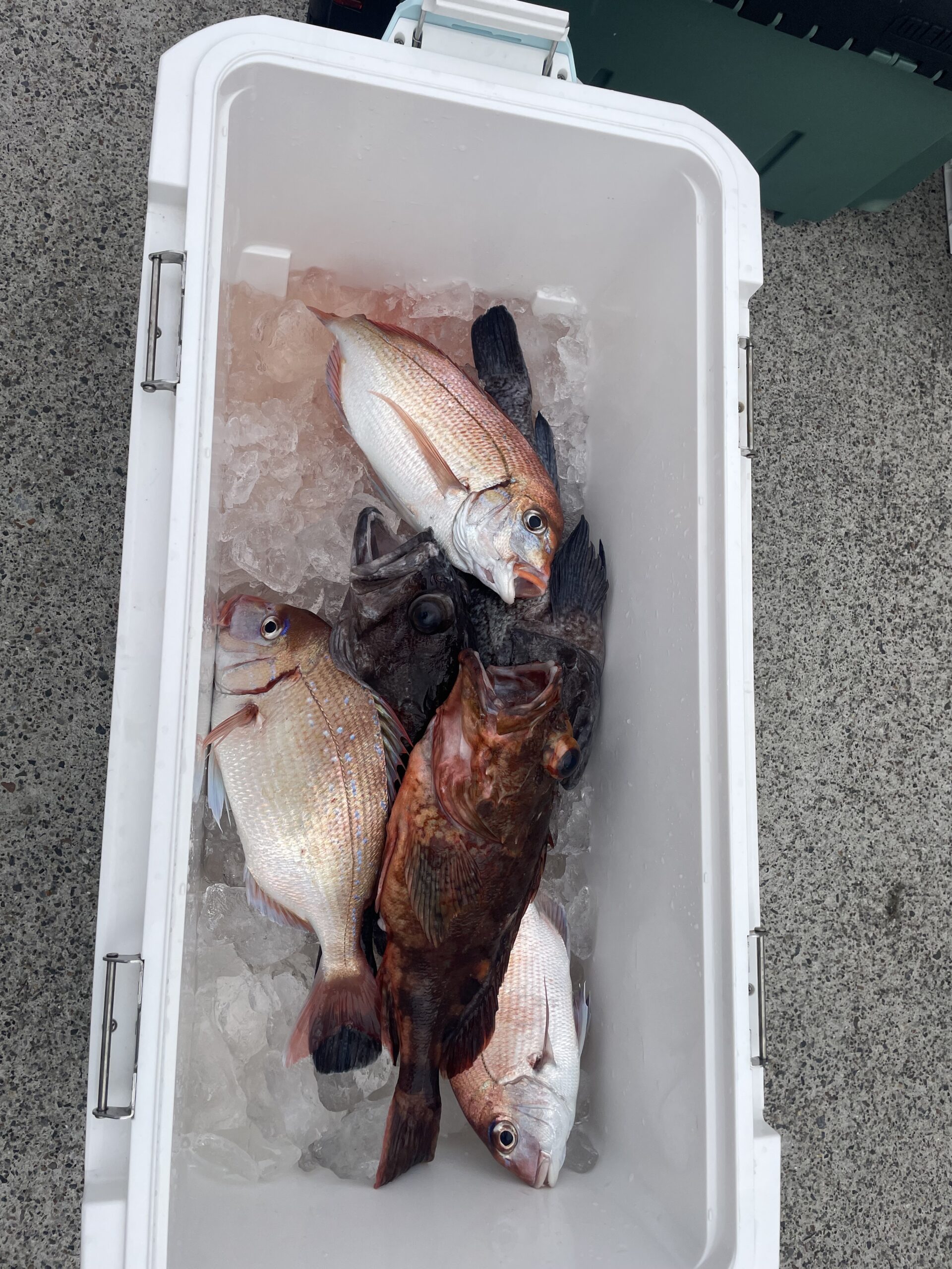 ２・２４　本日も出船