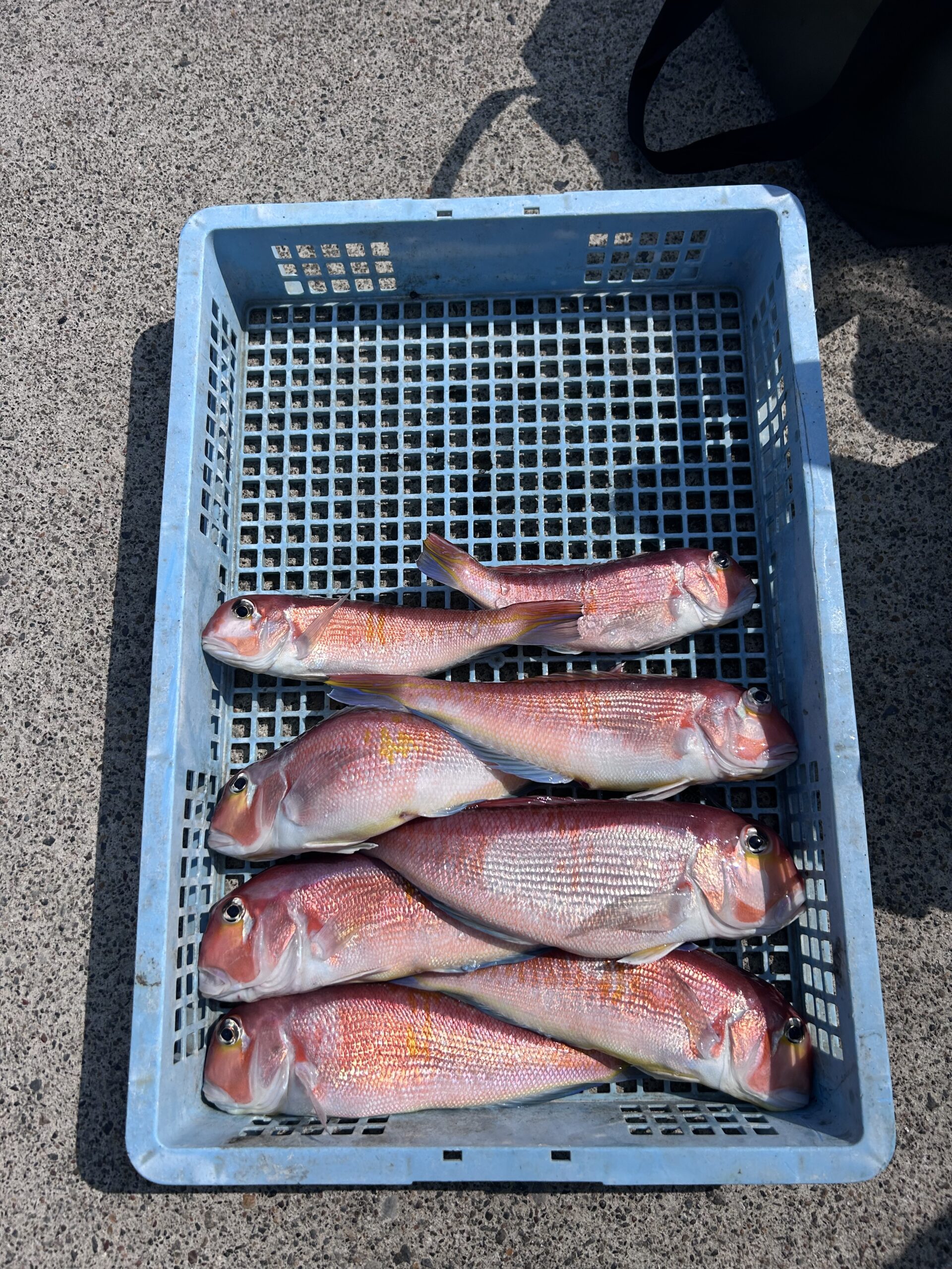 ３・２３　本日も出船