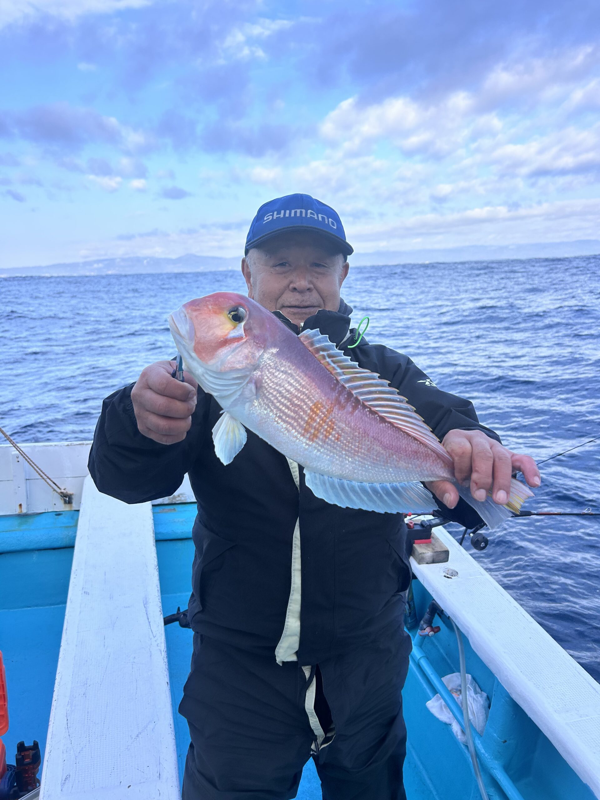 ３・２８　本日、アマダイ